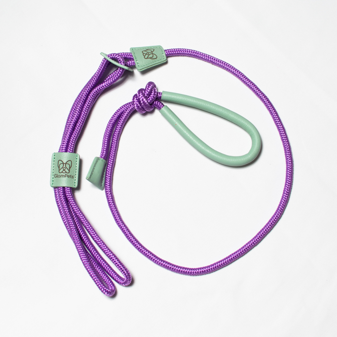 Pechea / Traílla - color lila con verde menta