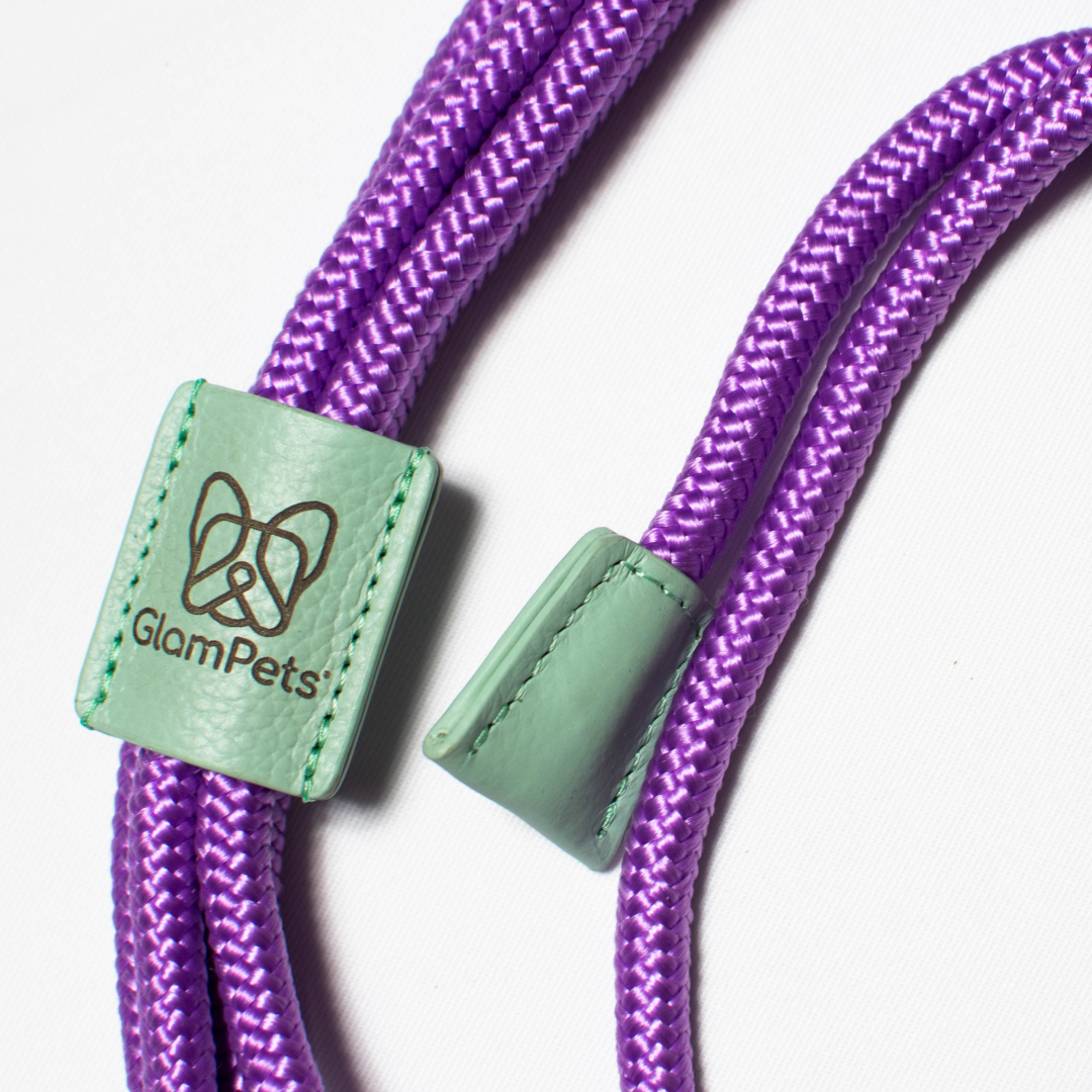 Pechea / Traílla - color lila con verde menta