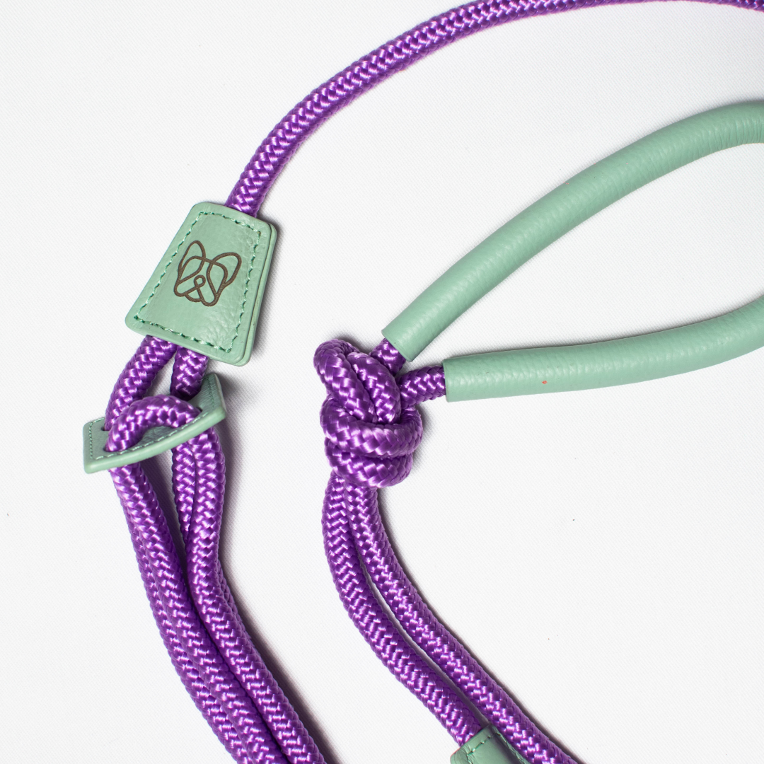 Pechea / Traílla - color lila con verde menta