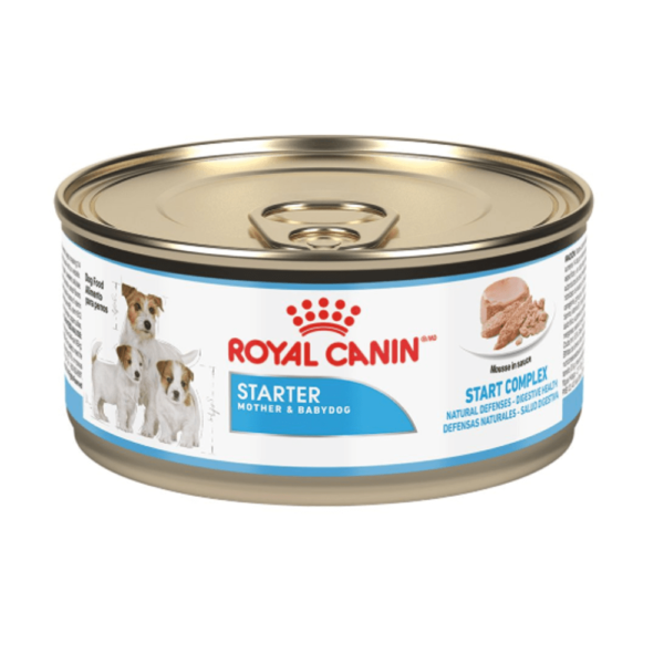 Alimento húmedo Royal Canin SHN Start M&B Dog Lata