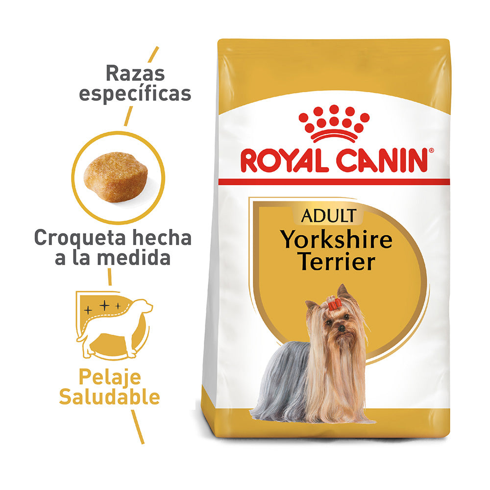 Royal Canin Yorkshire Ad