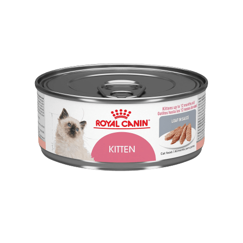 Alimento húmedo royal canin FHN kitten loaf lata