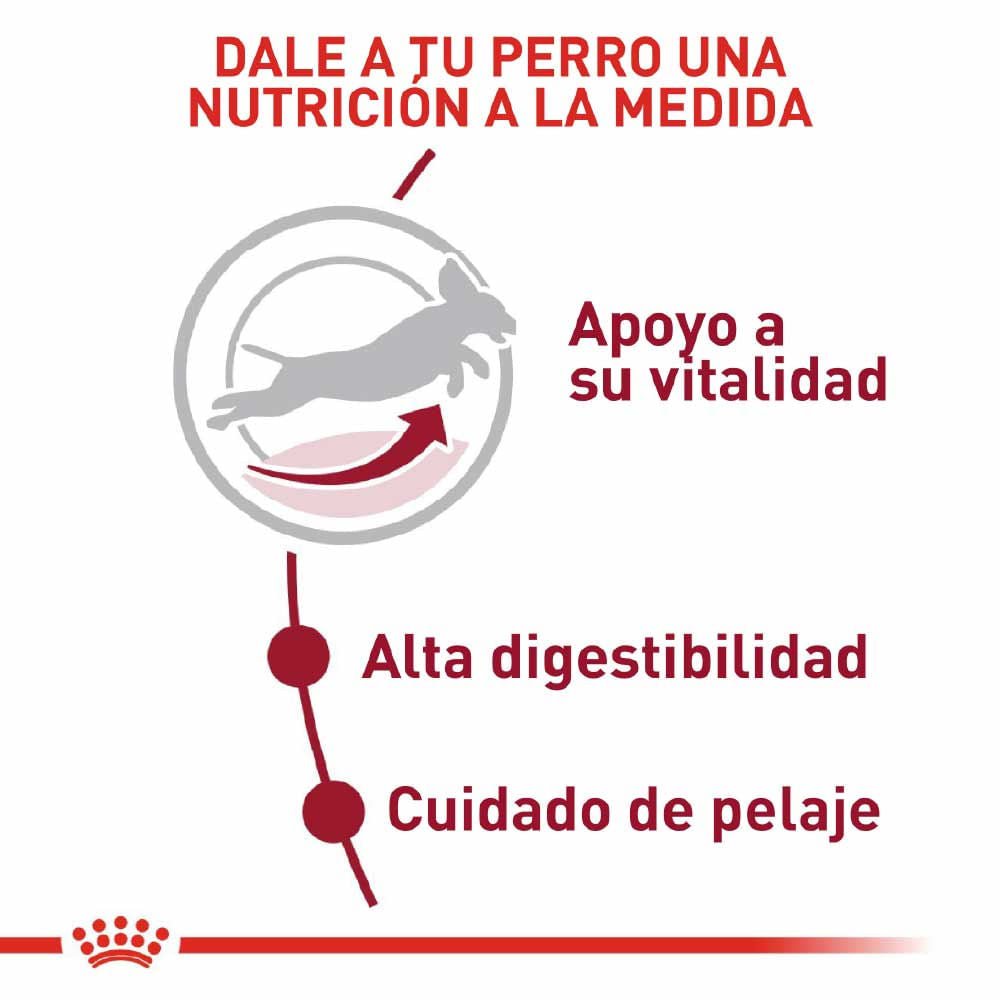 Alimento Para Perro Royal Canin Shn Med Adult +7
