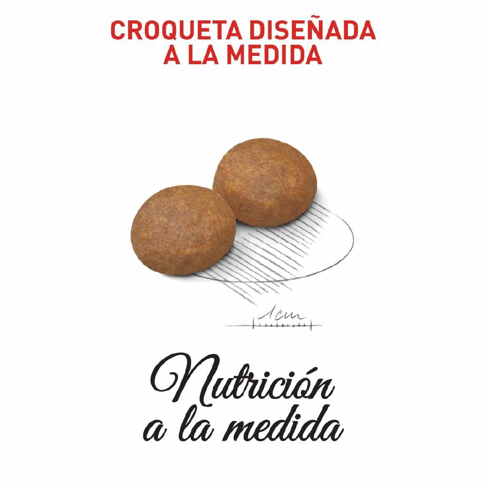 Alimento Para Perro Royal Canin Shn Med Adult +7