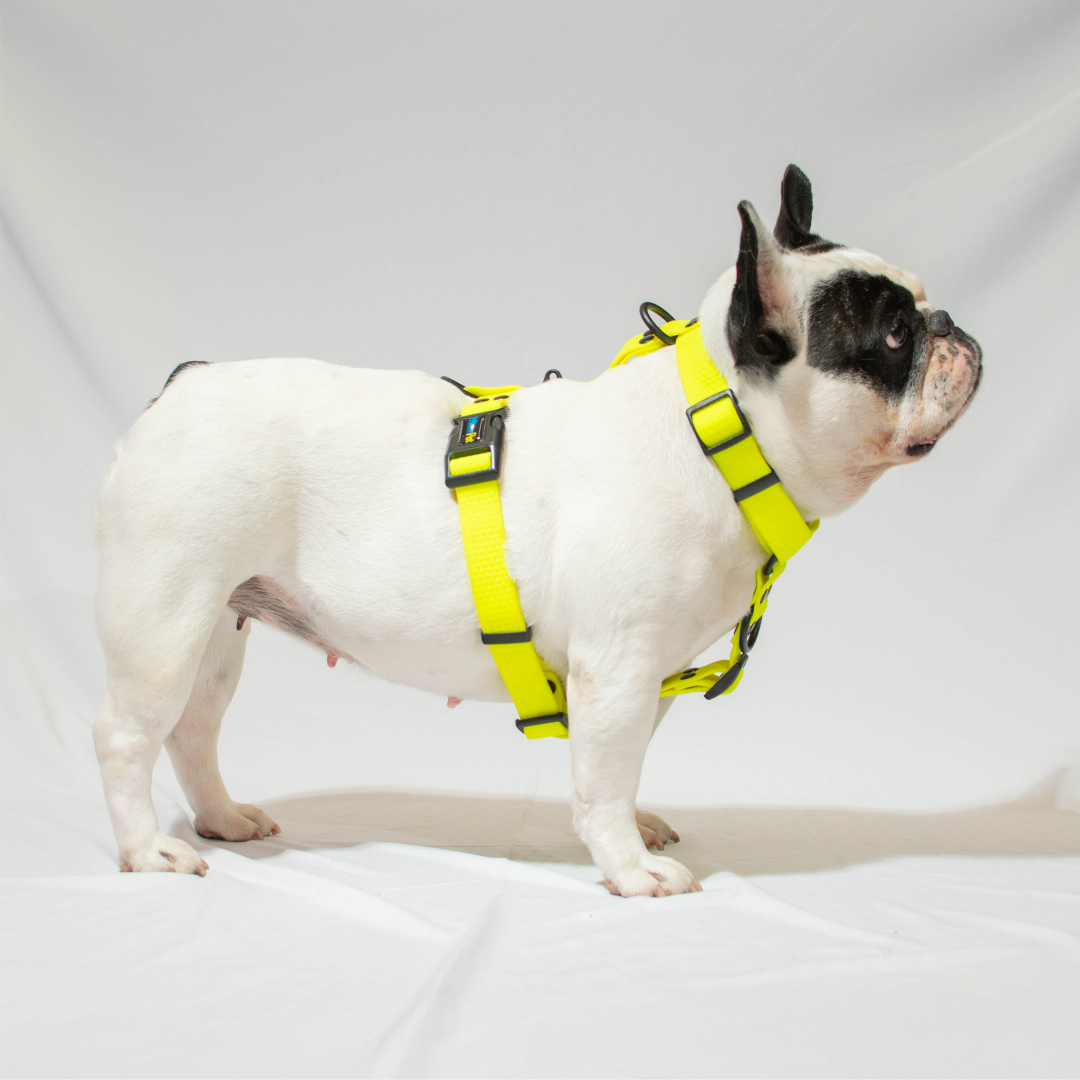 Pechera de goma - color amarillo fluorescente