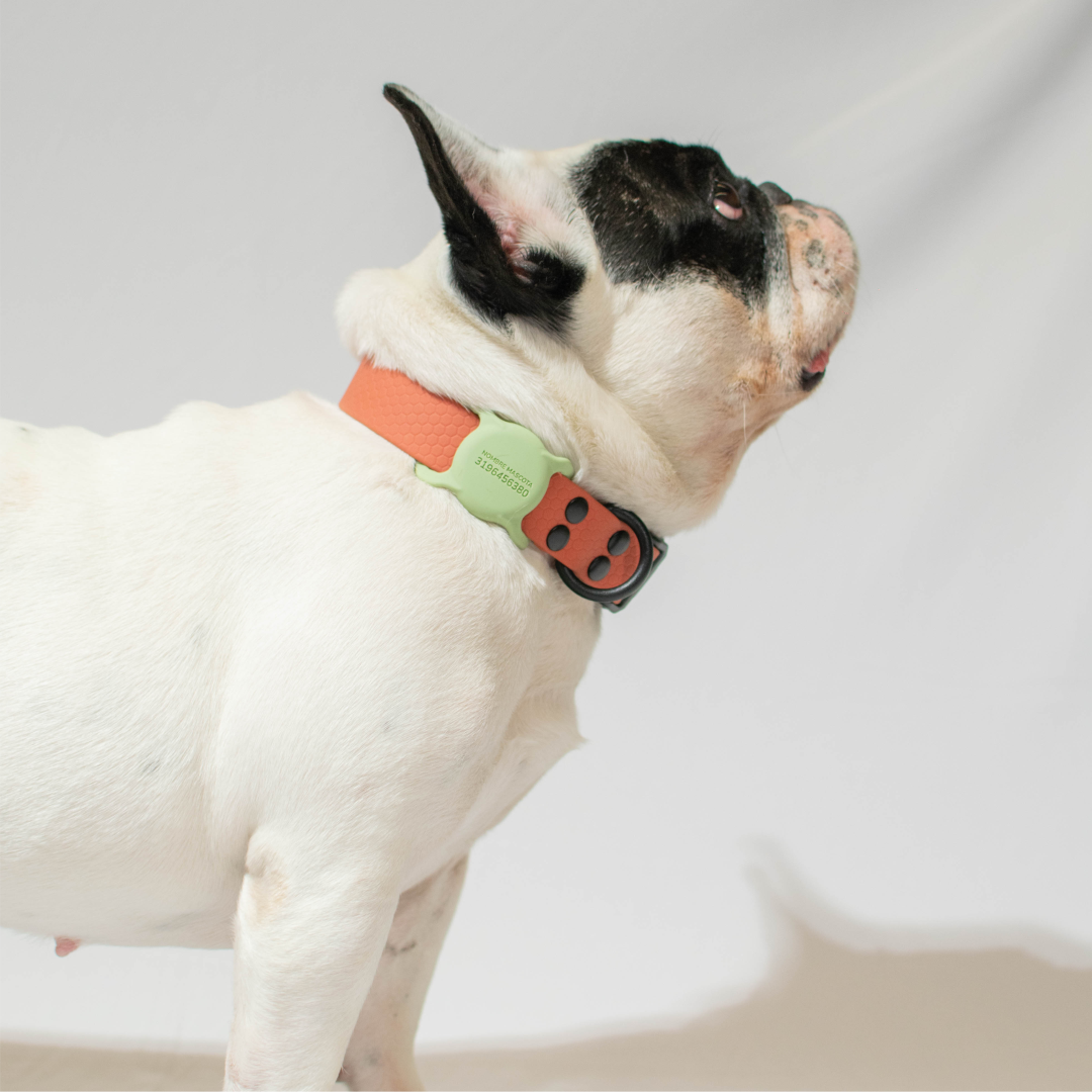 Collar de goma - color naranja