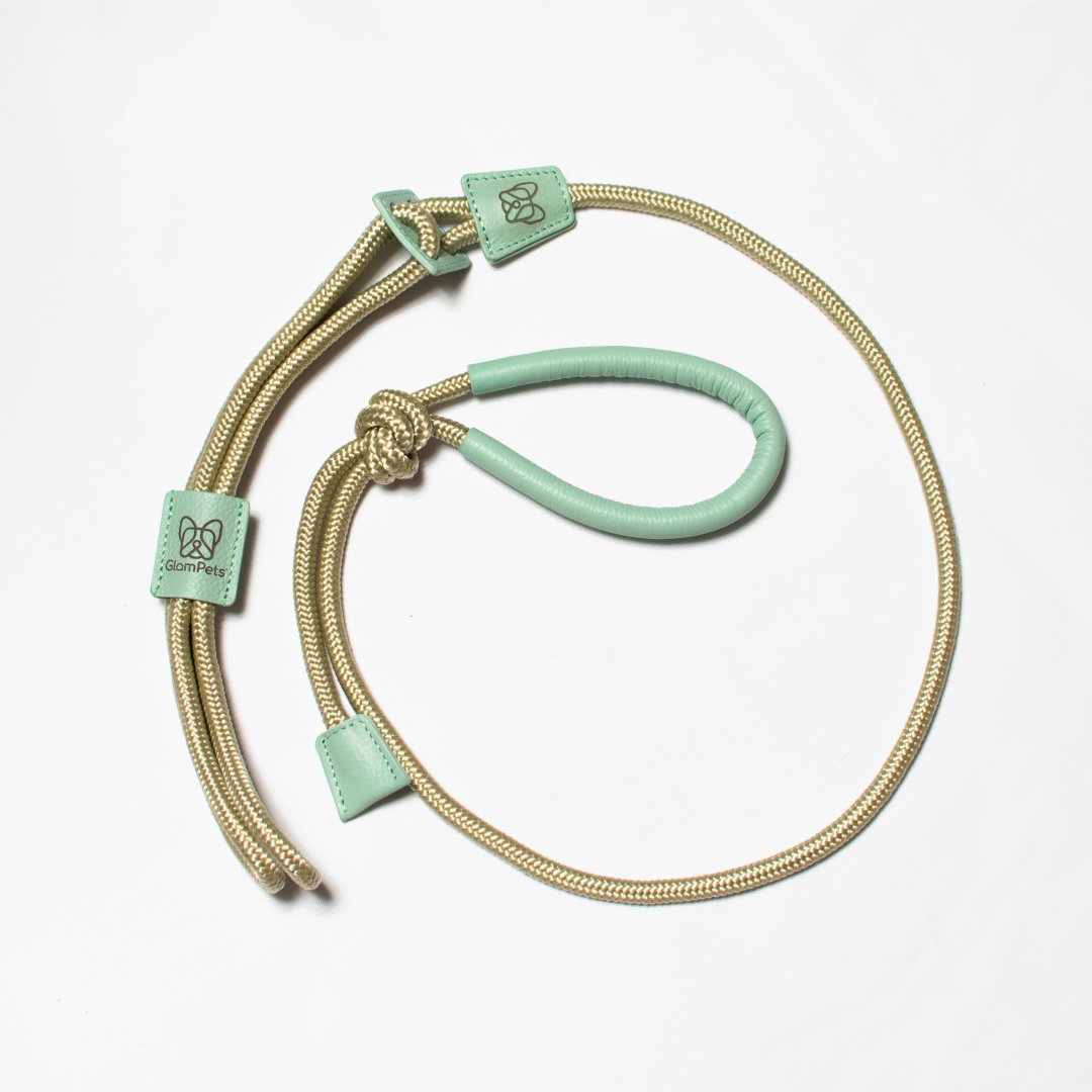 Pechea / Traílla - color beige con verde menta
