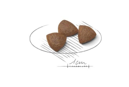 Royal Canin Medium Starter para Cachorros y Madres Lactantes Tamaño Mediano