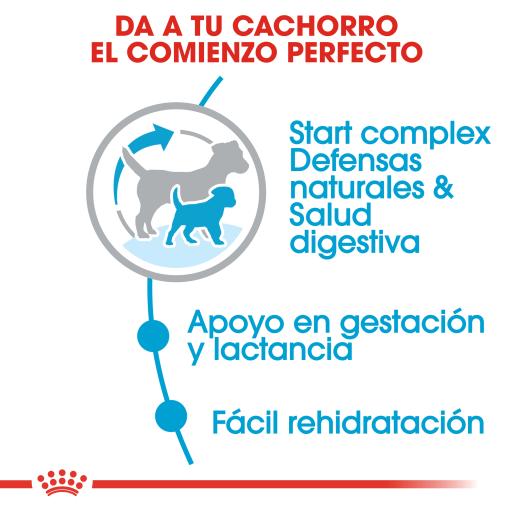 Royal Canin Mini Starter Pienso para Cachorros y Madres Lactantes Tamaño Pequeño