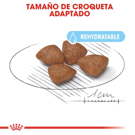 Royal Canin Mini Starter Pienso para Cachorros y Madres Lactantes Tamaño Pequeño
