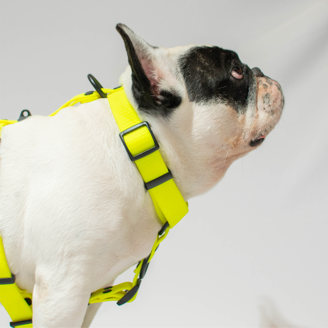 Pechera de goma - color amarillo fluorescente