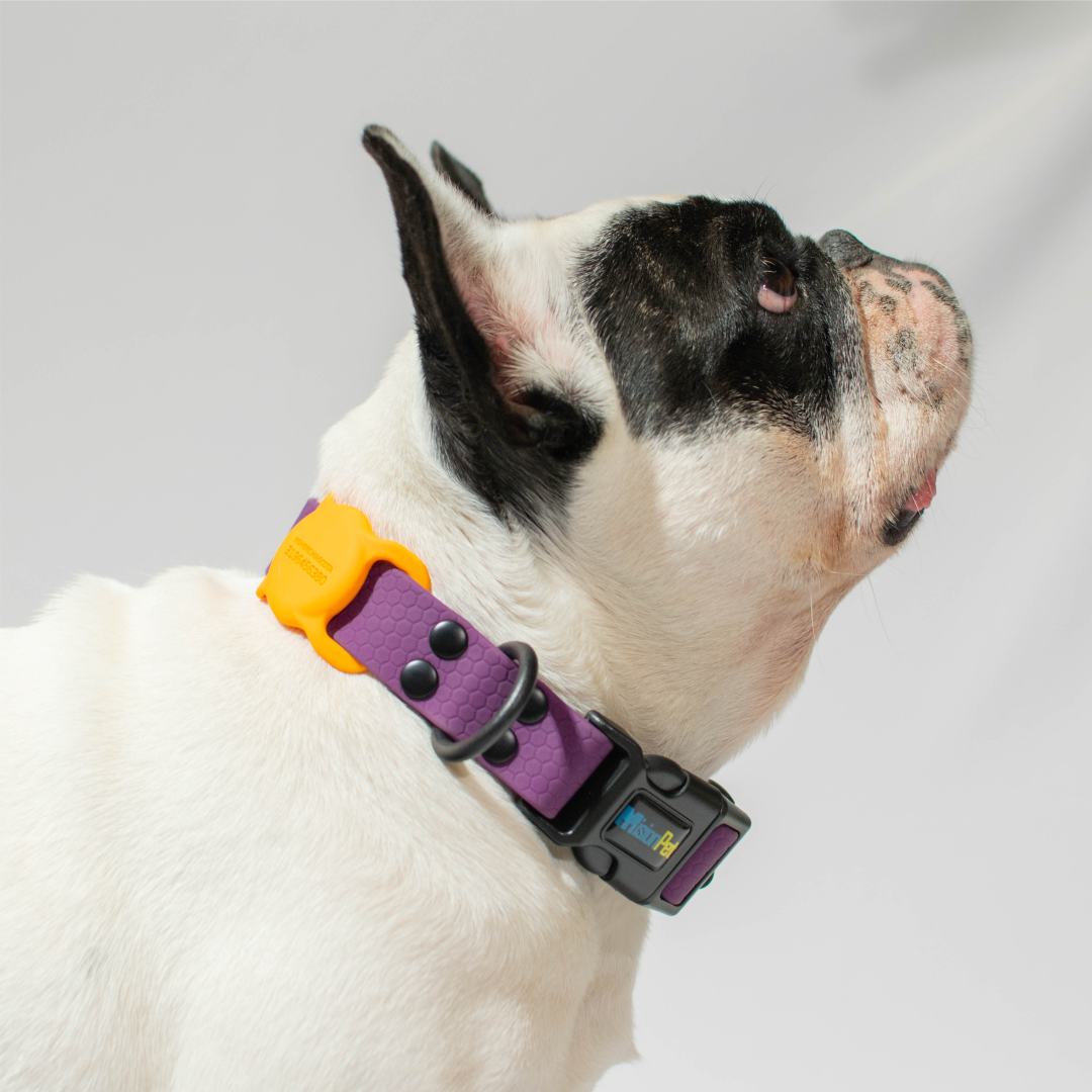 Collar de goma - color morado