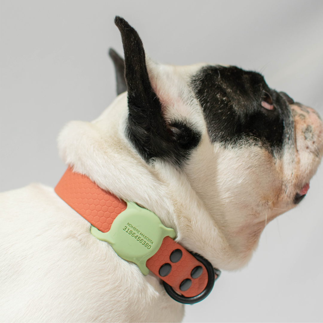 Collar de goma - color naranja