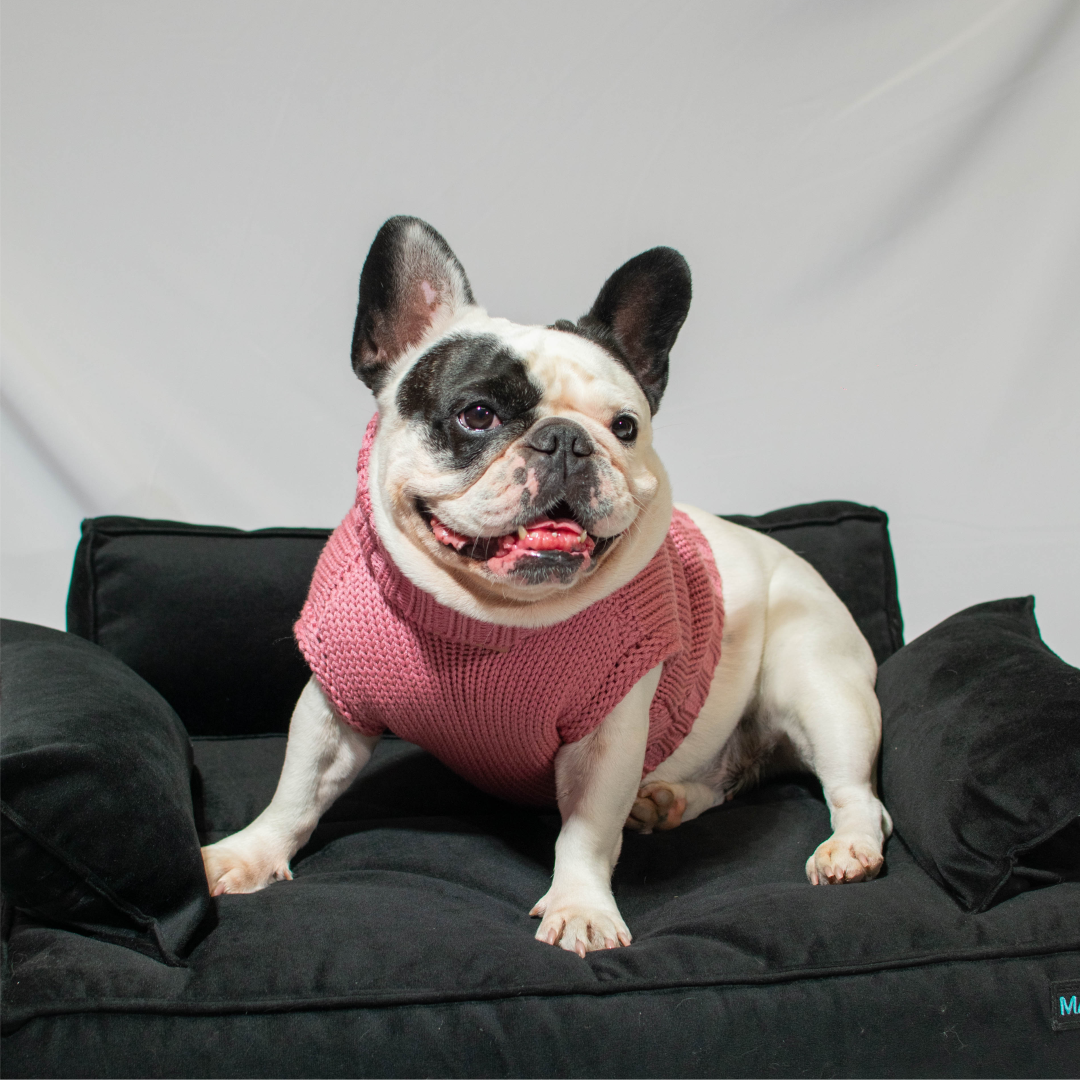 Sofá cama para mascotas - color negro 60cm