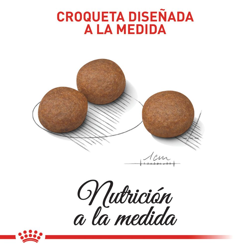 Alimento Para Perro Royal Canin Ccn Medium Digestive