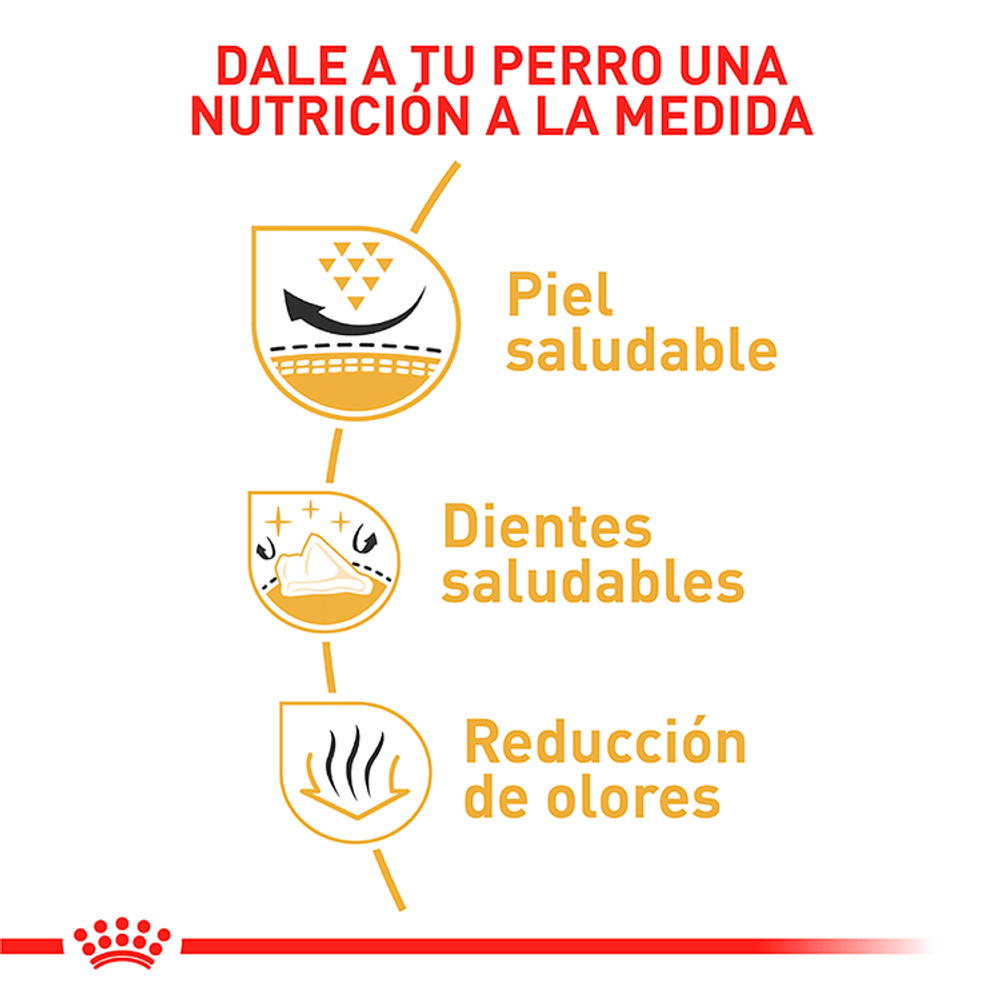 Alimento Para Perro Royal Canin Bhn Pomeranian