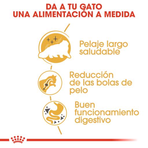 Alimento Royal Canin Persian Ad x 2kg