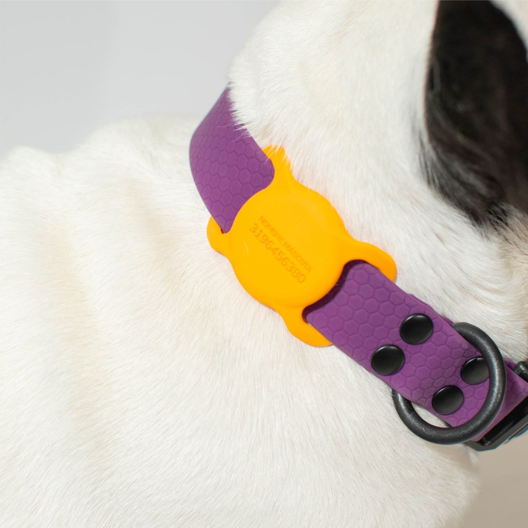 Collar de goma - color morado