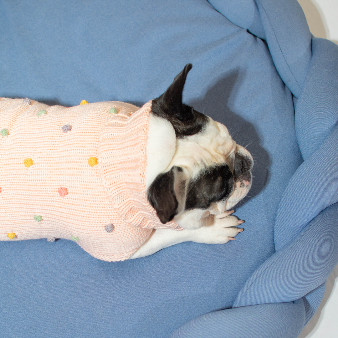 Cama trenzada para mascotas - color azul 60cm