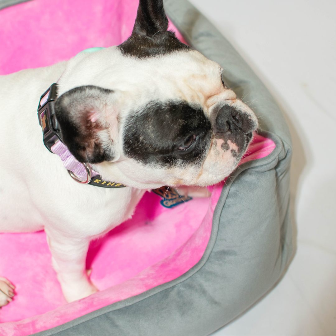 Cama danko para mascotas - color gris con rosado 60cm