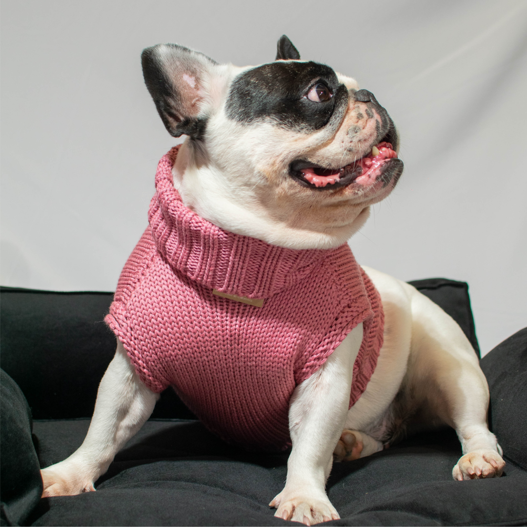 Sofá cama para mascotas - color negro 60cm