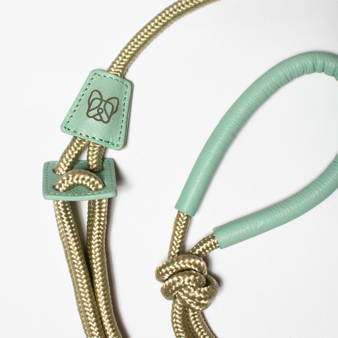 Pechea / Traílla - color beige con verde menta