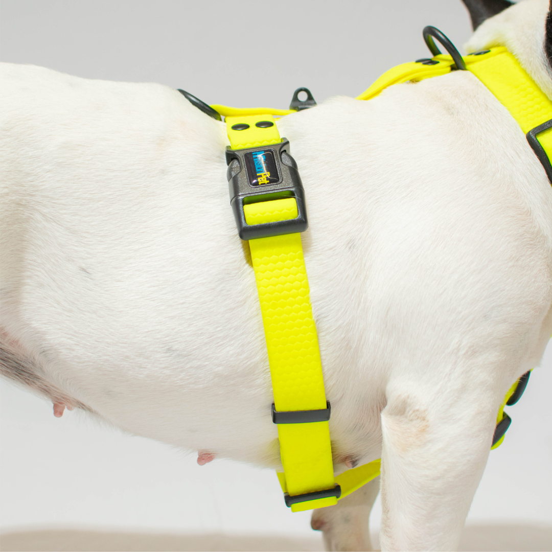 Pechera de goma - color amarillo fluorescente