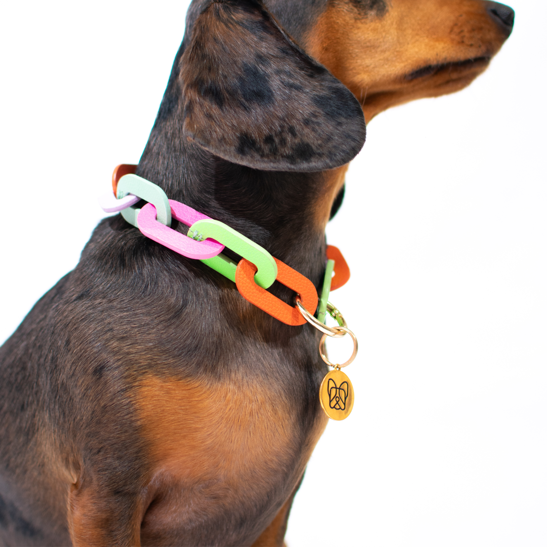 Collar / Chain - colores