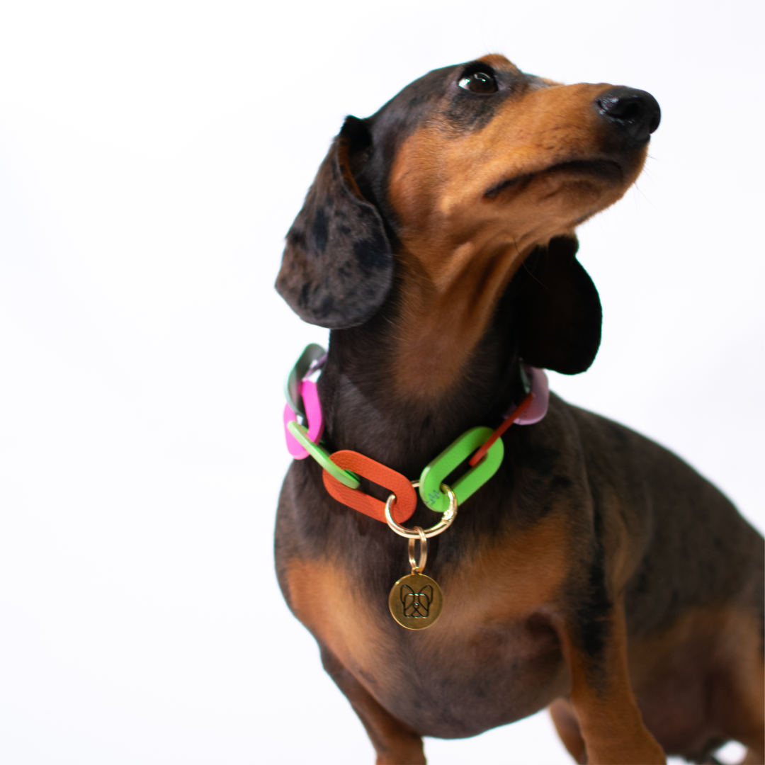 Collar / Chain - colores