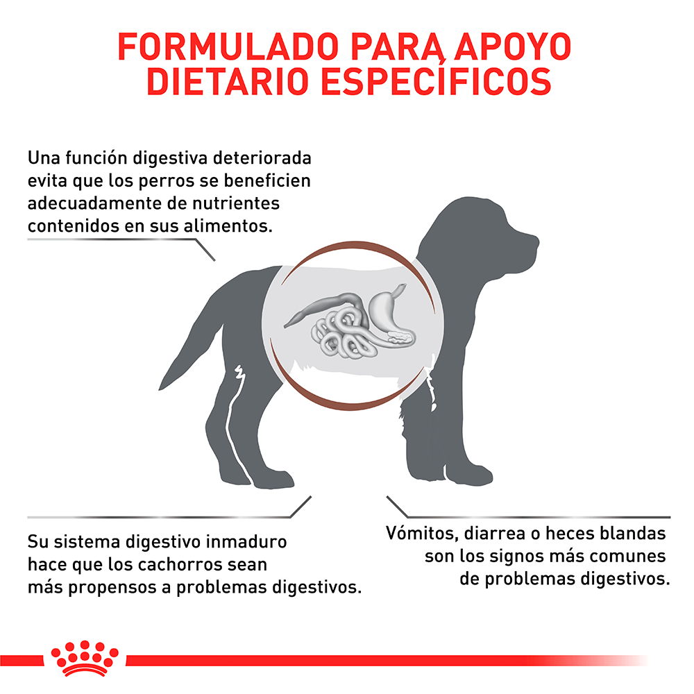 Alimento Para Perro Royal Canin Vd Gastro Intestinal Junior