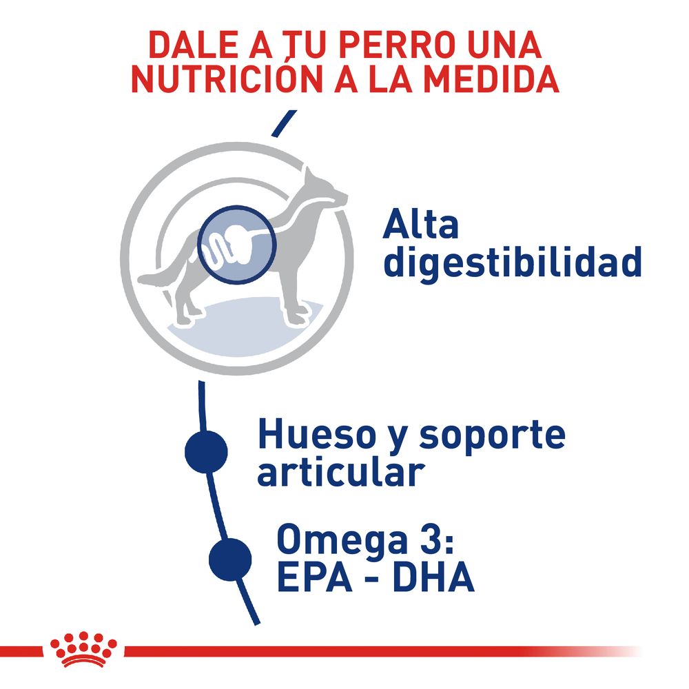 Alimento Para Perro Royal Canin Shn Maxi Adult