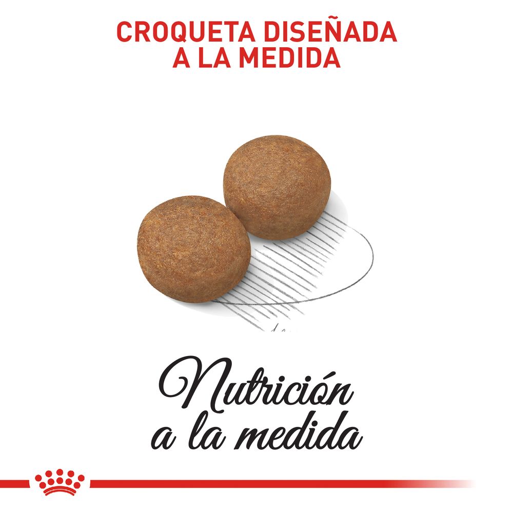 Alimento Para Perro Royal Canin Shn Maxi Adult