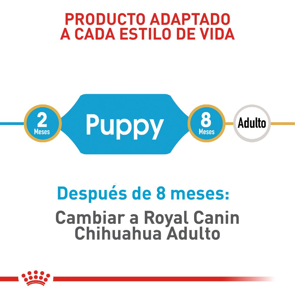 Alimento Para Perro Royal Canin BHN Chihuahua Puppy