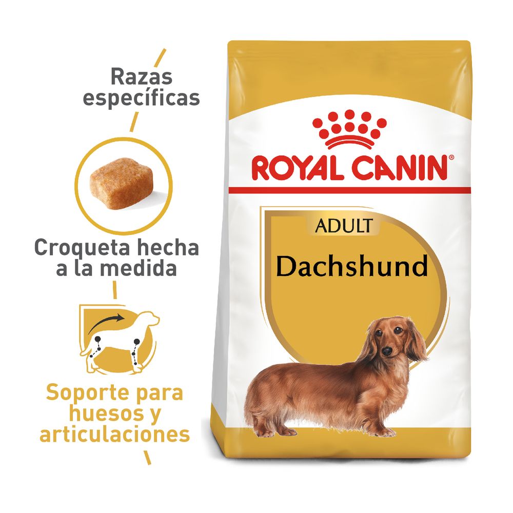 Alimento Para Perro Royal Canin Breed Health Nutrition Dachshund