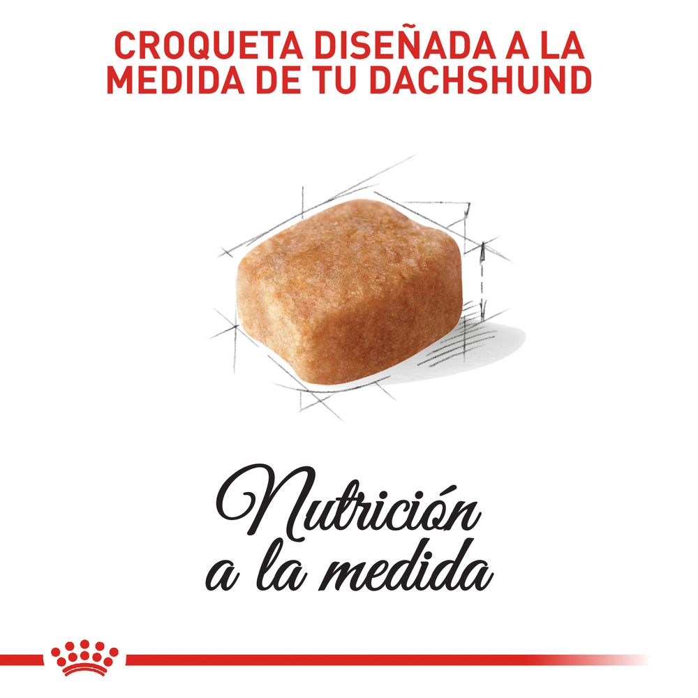 Alimento Para Perro Royal Canin Breed Health Nutrition Dachshund