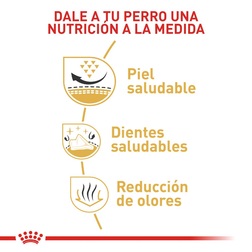 Alimento Para Perro Royal Canin BHN Shih Tzu Adulto