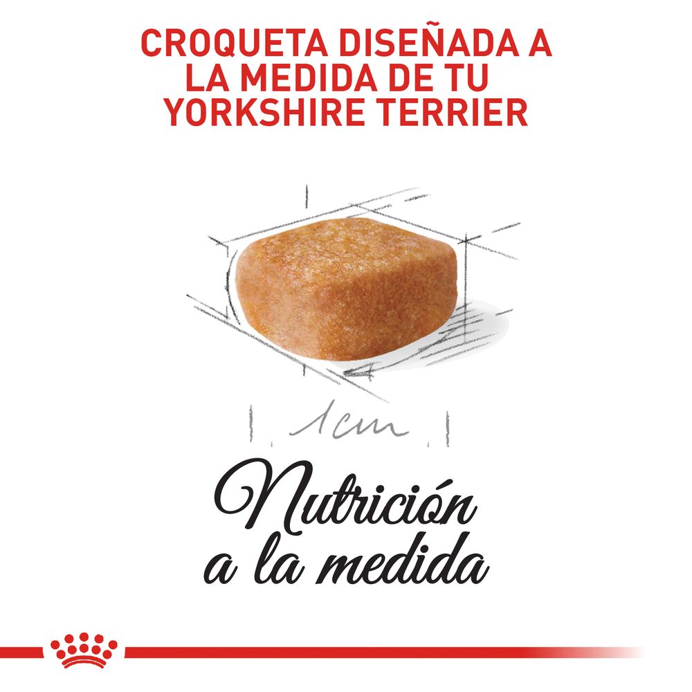 Alimento Para Perro Royal Canin Bhn Yorkshire Puppy