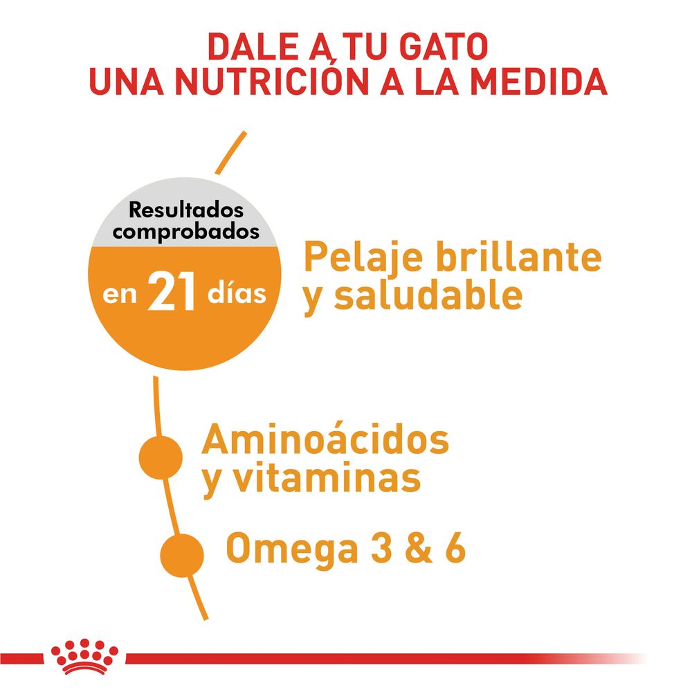 Alimento Para Gato Royal Canin Fcn Hair And Skin Care