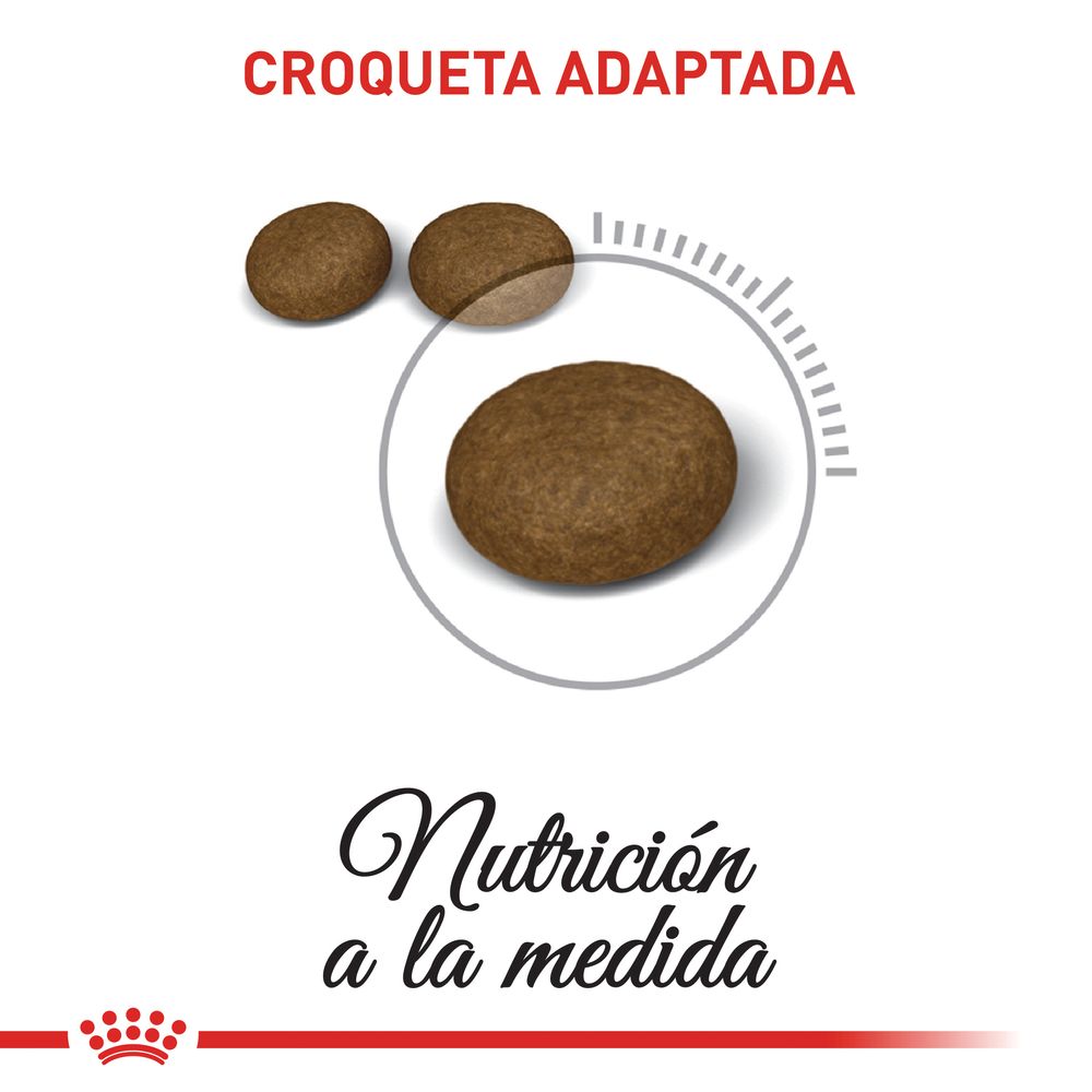 Alimento Para Gato Royal Canin Fcn Hair And Skin Care