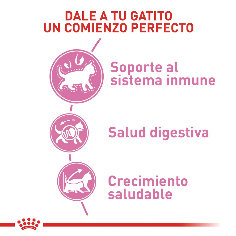 Alimento Para Gato Royal Canin Fhn Kitten