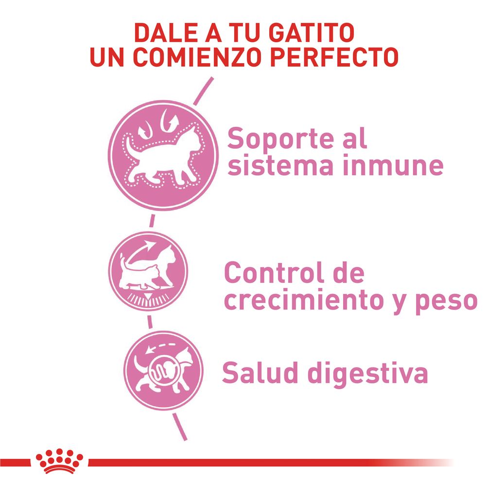 Alimento Para Gato Royal Canin Fhn Kitten Sterilised