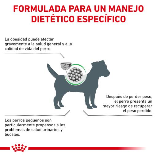 Royal Canin Pienso Satiety para Perros de Raza Pequeña