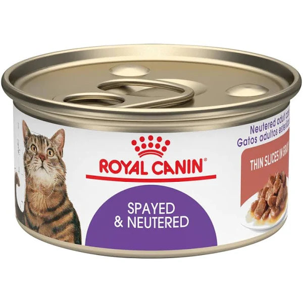 A limento húmedo royal canin FHN spayed neuter lata